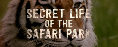 New Knowsley Safari docuseries to air on Channel 4